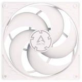 Arctic P14 PWM PST case fan Wit