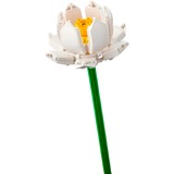 LEGO Botanical Collection - Lotusbloemen Constructiespeelgoed 40647