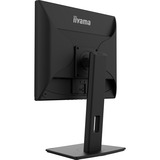 iiyama Prolite B1980D-B5 19" monitor Zwart, VGA, DVI