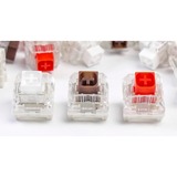 Keychron Kailh Box Brown Switch-Set keyboard switches Bruin/transparant, 35 stuks