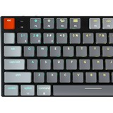 Keychron K1-M1, toetsenbord Grijs/grijs, US lay-out, Gateron Low Profile Red, RGB leds, TKL, ABS keycaps, Bluetooth