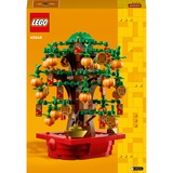 LEGO  Constructiespeelgoed 