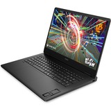 OMEN 17-db0060nd (A12N0EA) 17.3"  gaming laptop Zwart | Ryzen 7 8845HS | RTX 4070 | 32 GB | 1 TB SSD