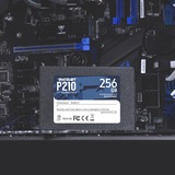 Patriot P210, 256 GB SSD Zwart, P210S256G25, SATA III