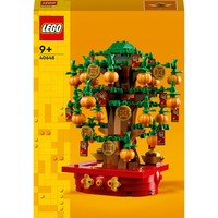 LEGO  Constructiespeelgoed 